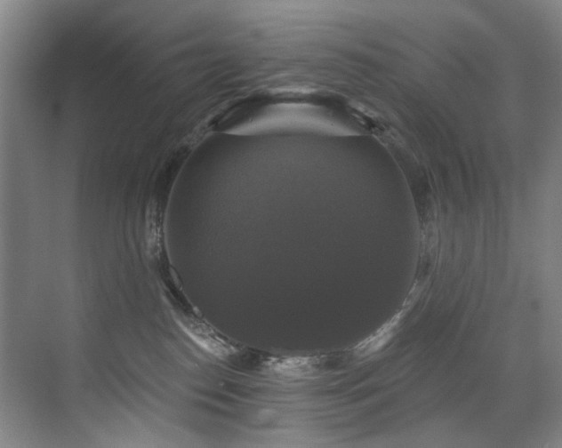 X0000076080186200609221232