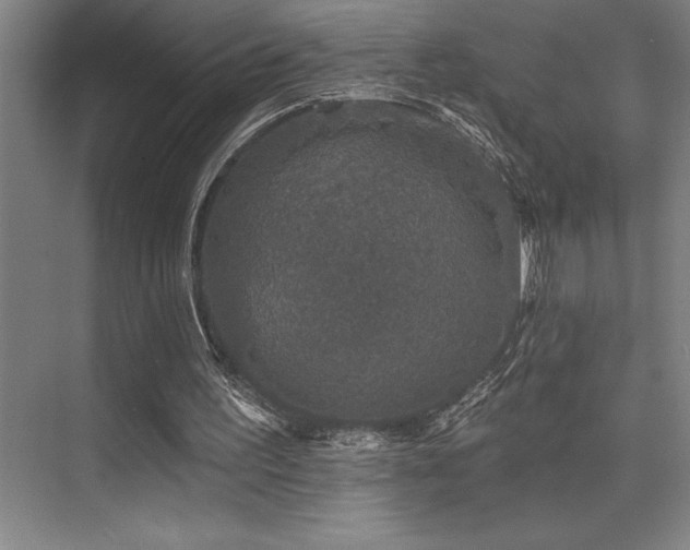 X0000076080195200609221231