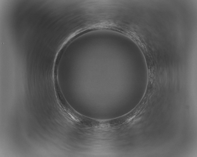 X0000076080196200609221231
