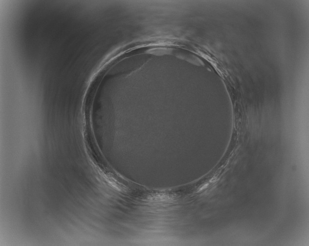 X0000076080198200609221231