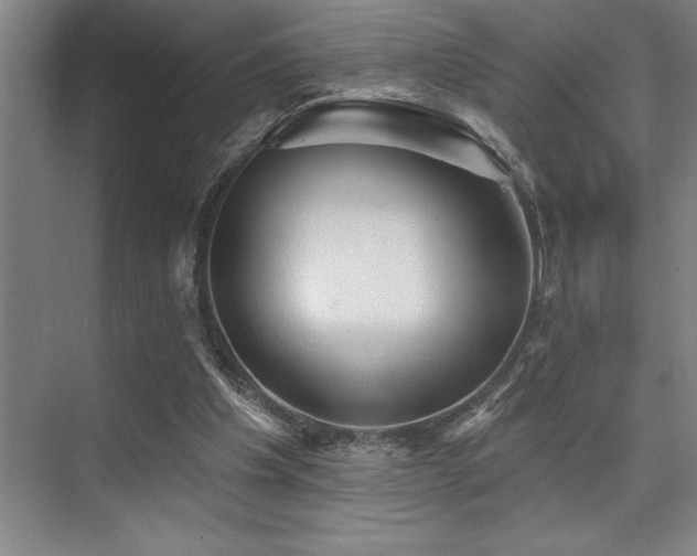 X0000076080201200609221231