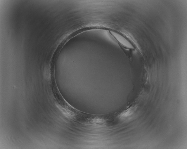 X0000076080204200609221231