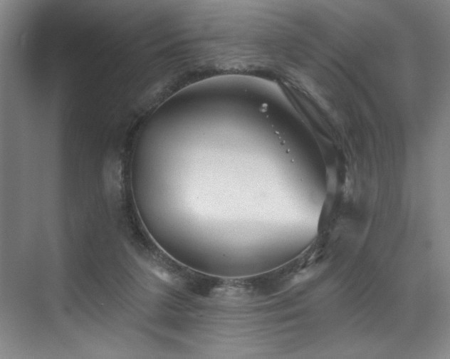 X0000076080211200609221231