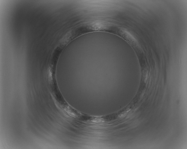 X0000076080214200609221231