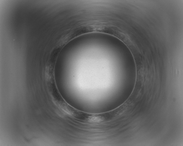 X0000076080218200609221231