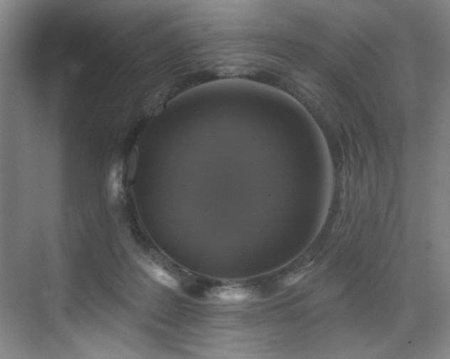 X0000076080219200609221231