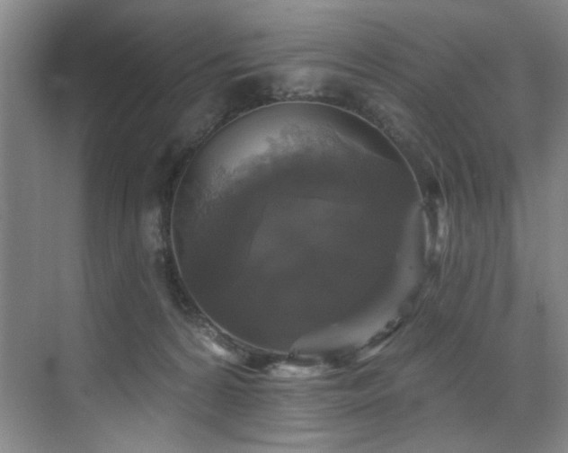 X0000076080224200609221231