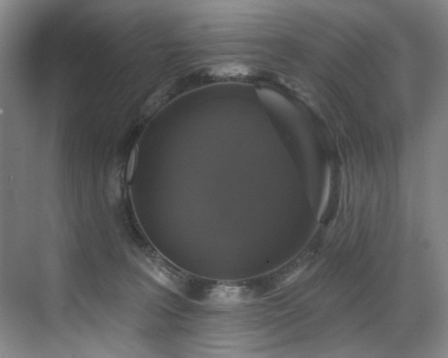X0000076080227200609221231