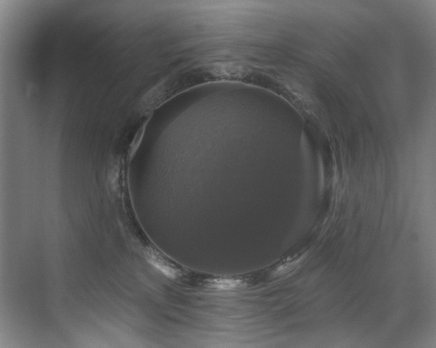 X0000076080233200609221231