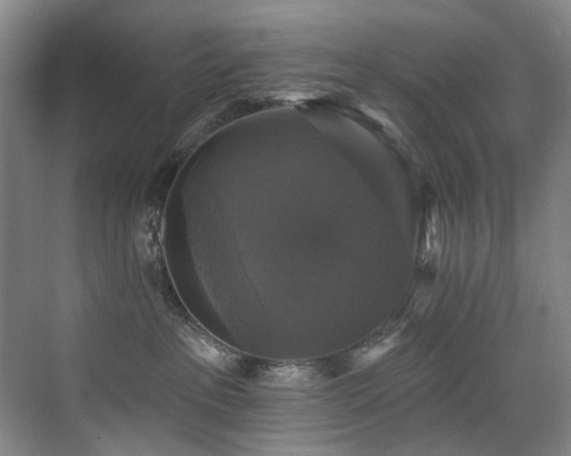 X0000076080237200609221231