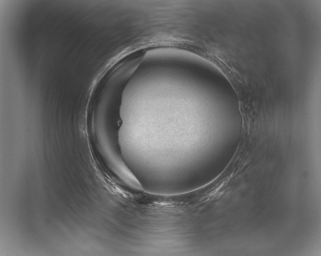 X0000076080244200609221230