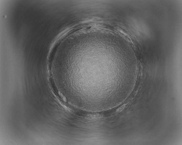 X0000076080245200609221230