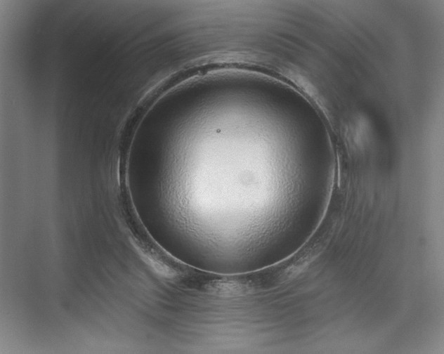 X0000076080253200609221230