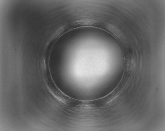 X0000076080254200609221230