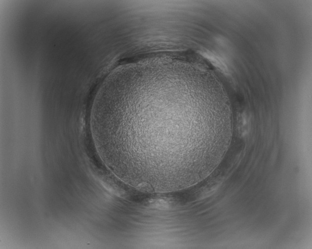 X0000076080259200609221230
