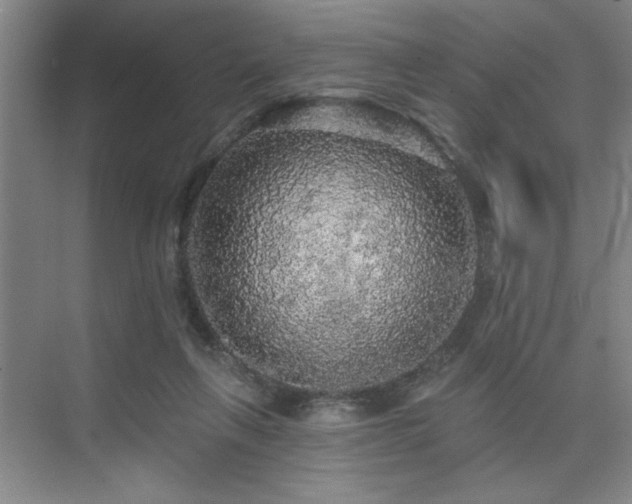 X0000076080263200609221230