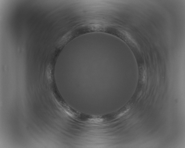 X0000076080266200609221230