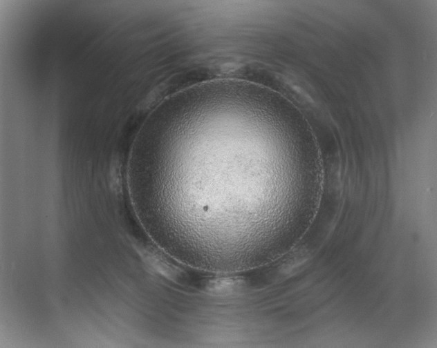 X0000076080274200609221230