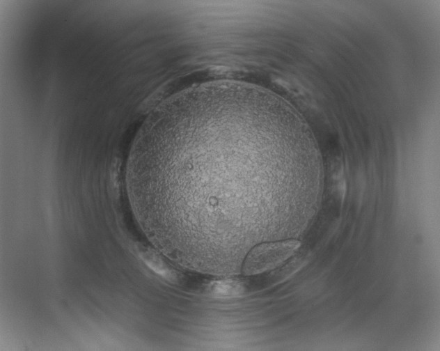 X0000076080275200609221230