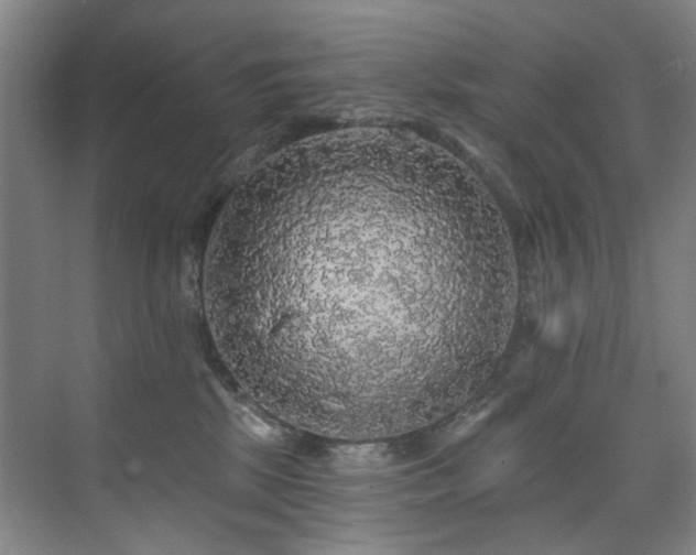 X0000076080281200609221230
