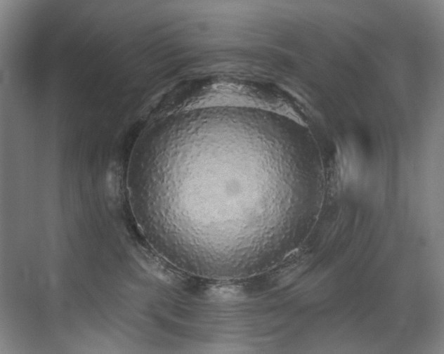 X0000076080283200609221231