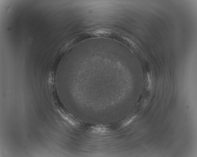 X0000076080284200609221231