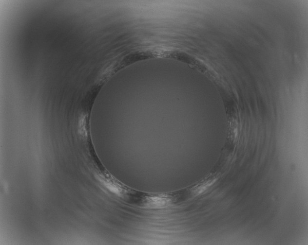 X0000076080286200609221231