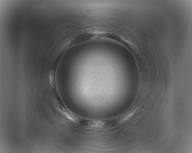 X0000076080288200609221231