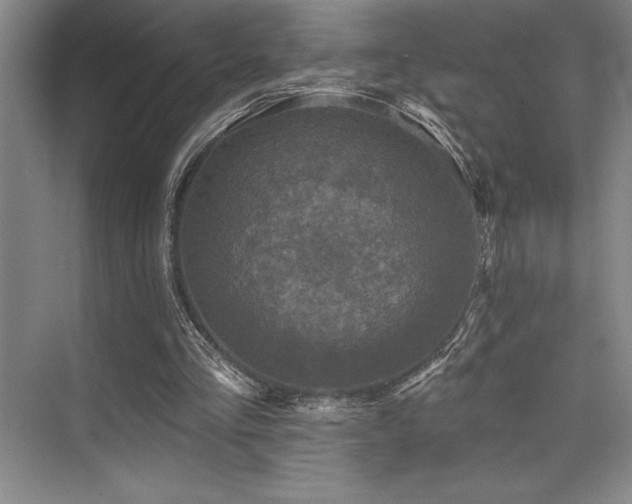 X0000076080293200609221230