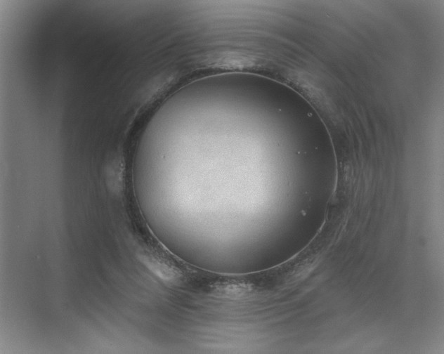 X0000076080304200609221230