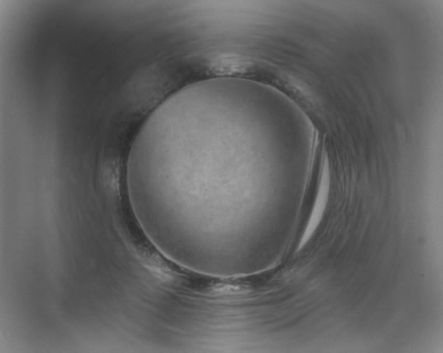 X0000076080315200609221229
