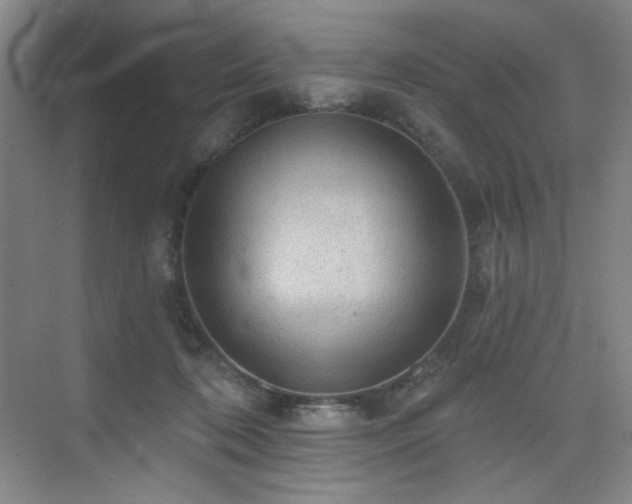 X0000076080316200609221229