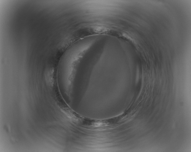 X0000076080319200609221229