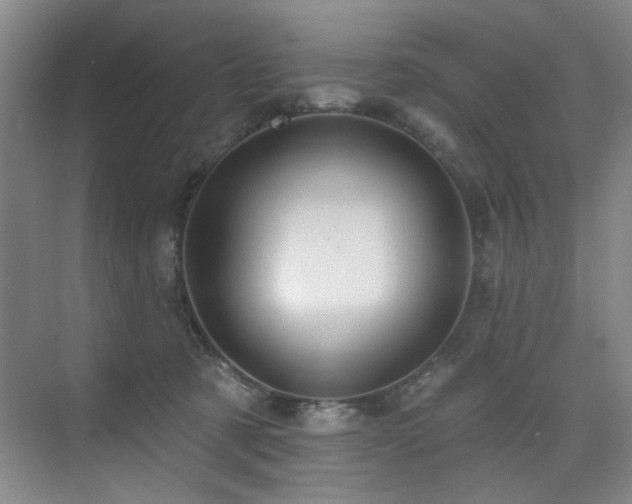 X0000076080321200609221229
