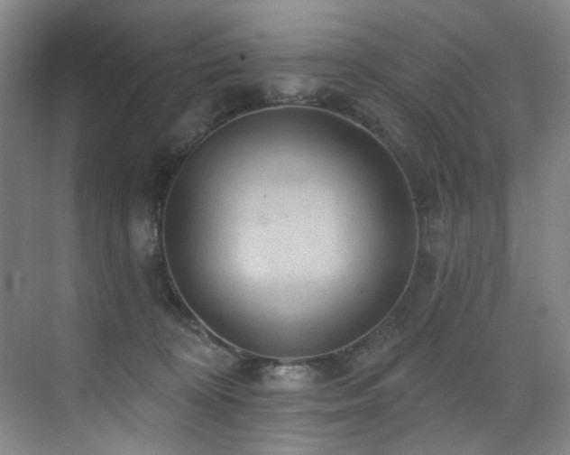 X0000076080324200609221229