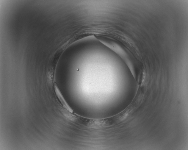 X0000076080329200609221229