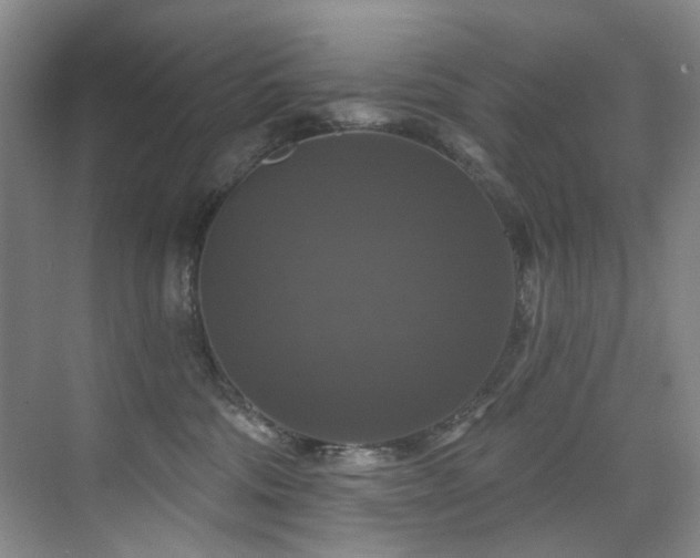 X0000076080330200609221229