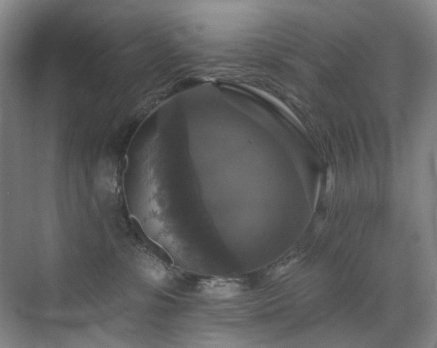 X0000076080331200609221229