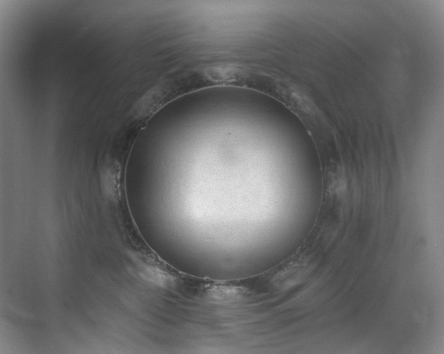 X0000076080332200609221229