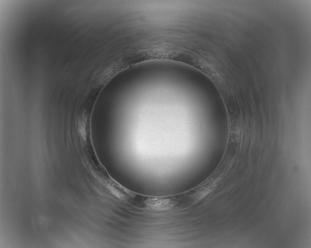 X0000076080334200609221229