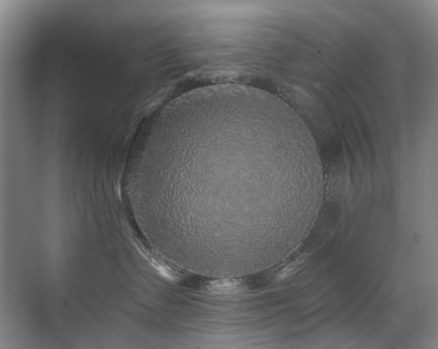 X0000076080335200609221229