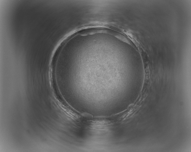 X0000076080342200609221228