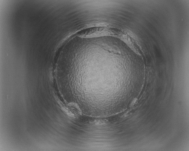 X0000076080345200609221228