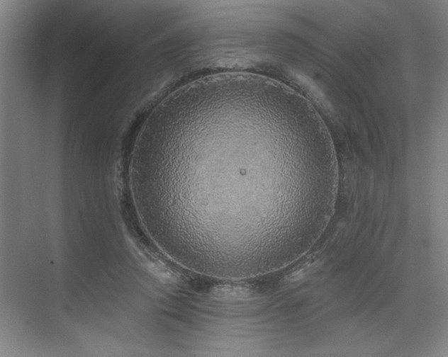 X0000076080354200609221228