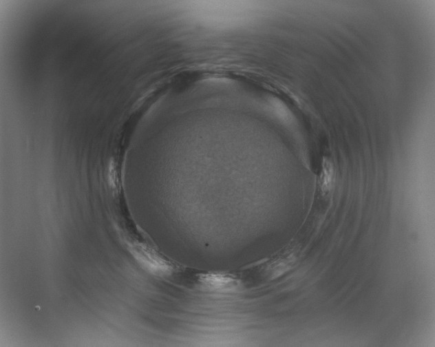 X0000076080380200609221229