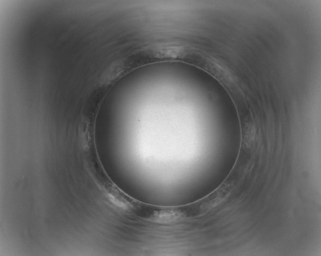 X0000076080414200609221228