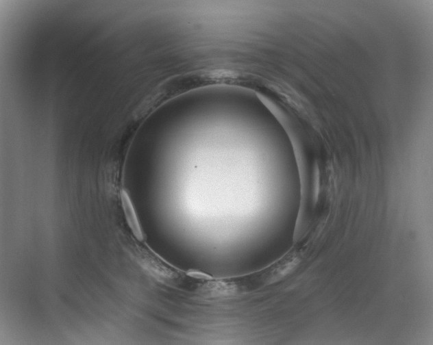 X0000076080421200609221228