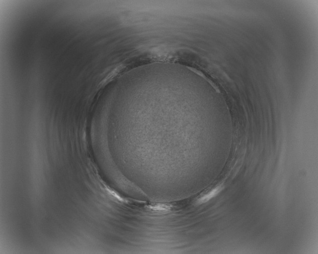 X0000076080432200609221227