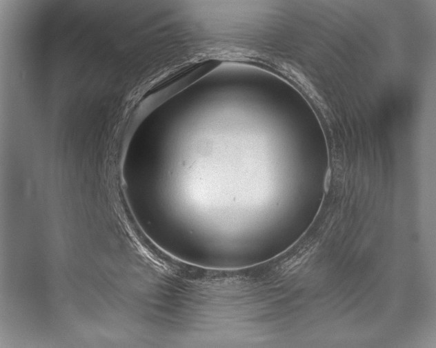 X0000076080433200609221227