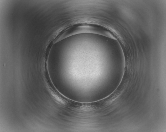 X0000076080445200609221227